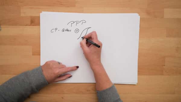 Claudia´s  Basic Elements of (P)freemotion Quilting Tutorial/Download